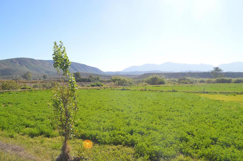 3 Bedroom Property for Sale in Calitzdorp Western Cape